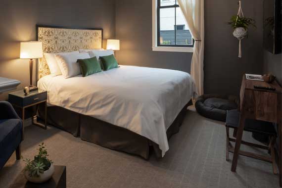 Cozy hotel bedroom with a queen bed, white linens, green accent pillows, and twin bedside lamps on dark nightstands.